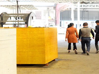 陜西地區(qū)建筑模板經(jīng)銷(xiāo)商劉總